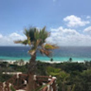 Meet your Posher, Liz